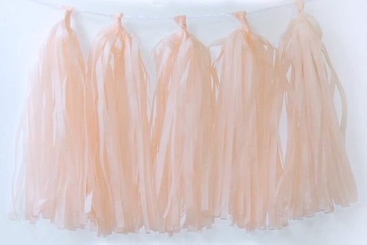 Party Balloons Blush Paper Tassels Garland