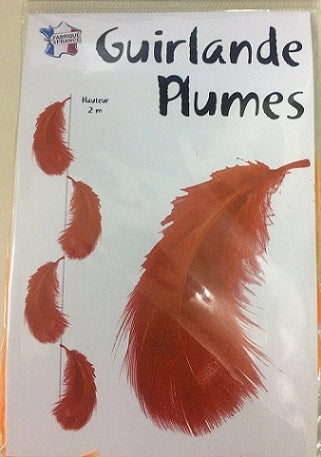 Party Balloons Orange Feathers Bunting 2 Meter