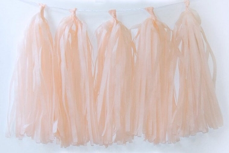 Party Balloons Blush Paper Tassels Garland 