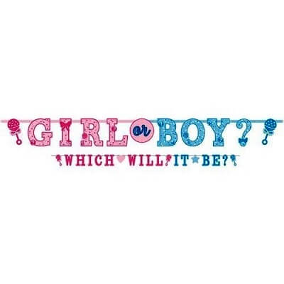 Party Balloons Girl or Boy Gender Reveal Letter Banner
