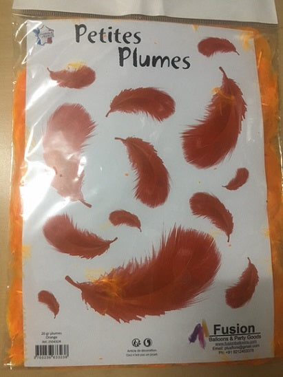 Party Balloons Orange Feathers Confetti Sachet 20Grm.