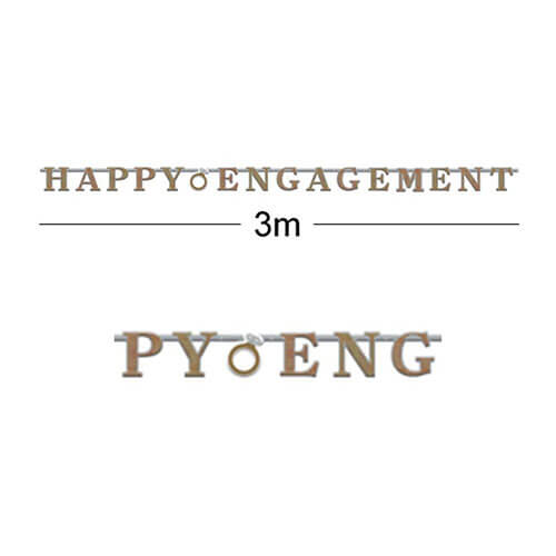 Party Balloon OMG We're Engaged Letter Banner