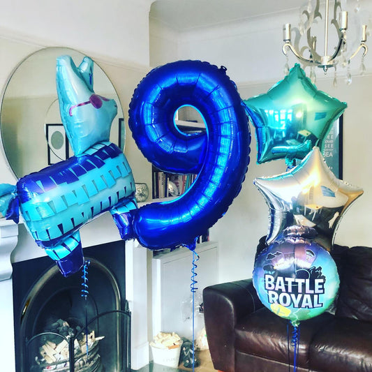 Battle Royal Llama 9th Birthday