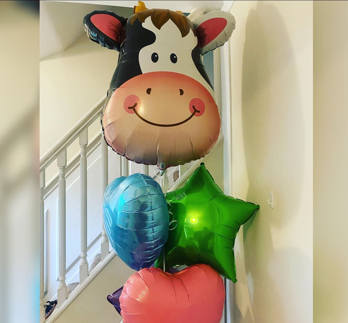 Holstein Cow Theme Balloon Bunch
