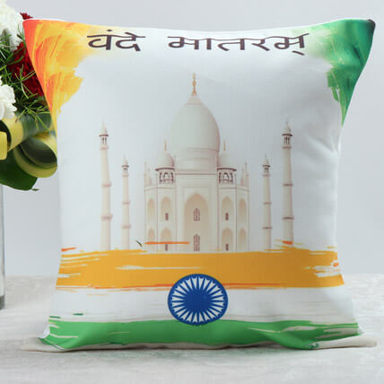 Party Balloon Vande Matram Cushion 1Ct.