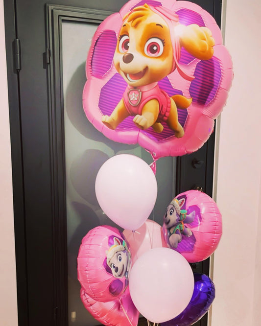 Paw Patrol Girl Balloons Bunch
