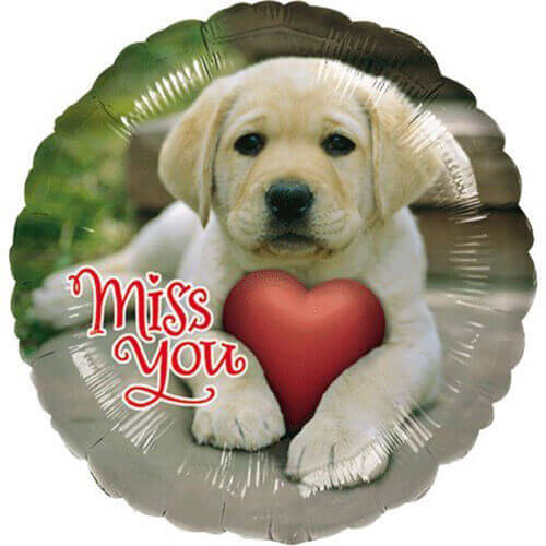 Party Balloon 18" Miss You Foil Balloon S50